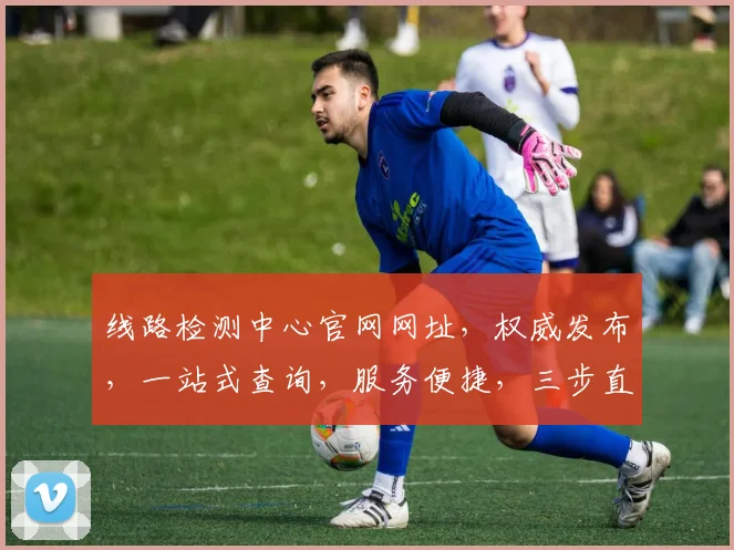 线路检测中心官网网址，权威发布，一站式查询，服务便捷，三步直达